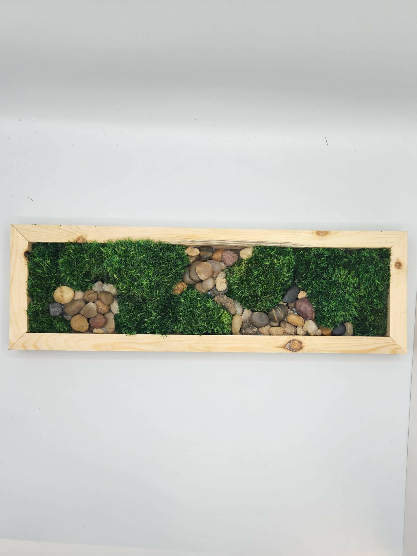Moss Art 17" x 5.5"