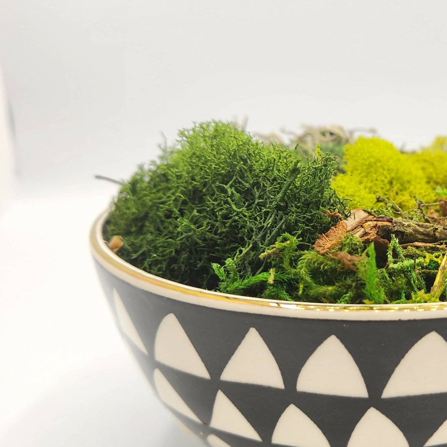 Moss Art Bowls - Patterned Ceramic Bowls