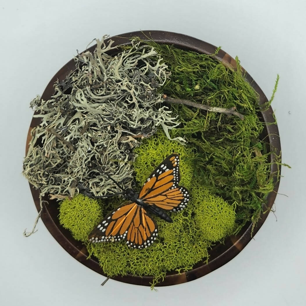 Moss Art Bowls - Acacia Wood Bowls